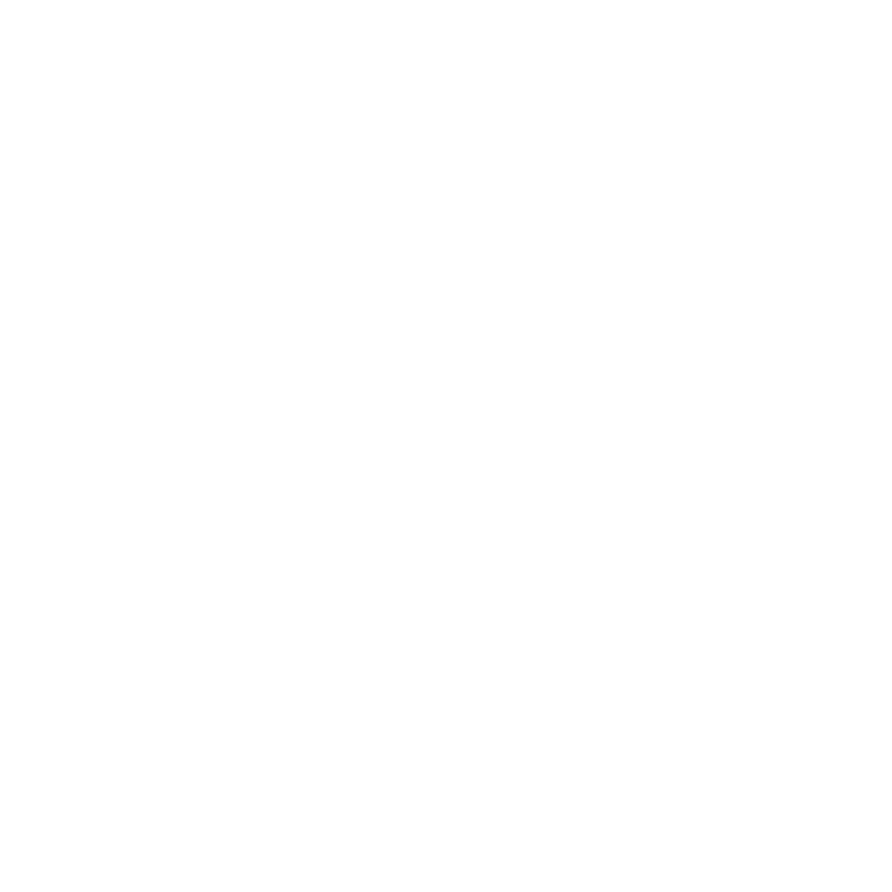 Scheibenreinigung